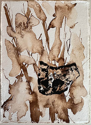 Echoes of a garden 2